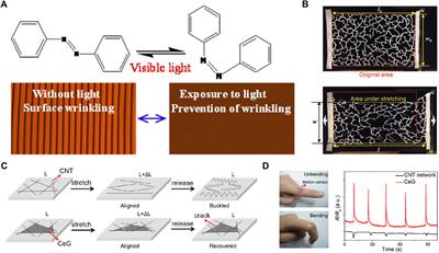 Mechanics and Strategies for Wrinkling Suppression: A Review